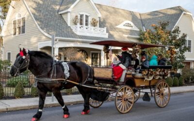 The only way to see Cape May during the holidays. Carriage rides can be reserved on Washington Street Mall, or by calling 609-884-4466 🏻